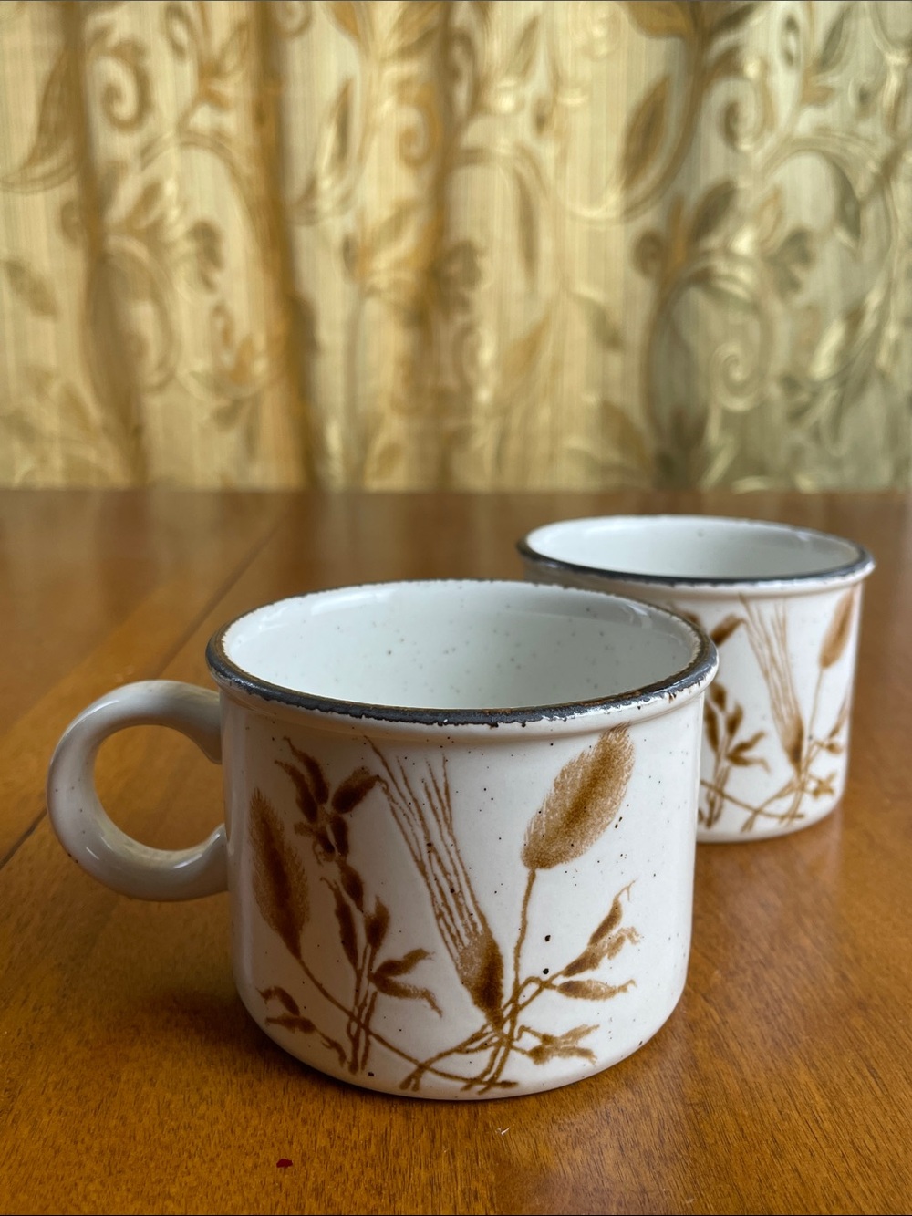 Vintage Midwinter Stonehenge Mugs Set of 2 Coffee/Tea/Hot Chocolate